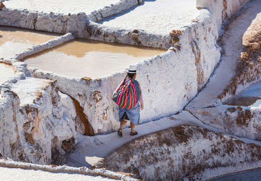 Full day Maras y Moray Solo Transporte y Guía